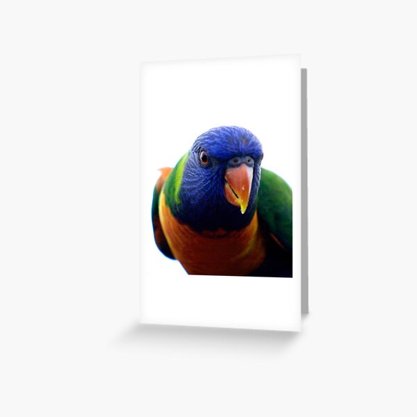 Colour my world Greeting Card