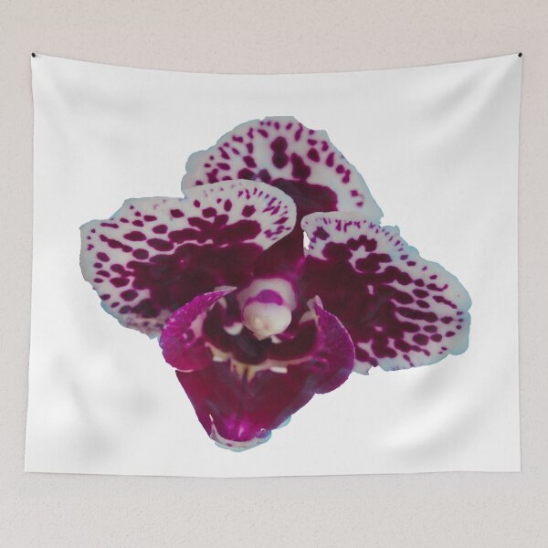 Item preview, Purple Speckled Orchid designed and sold by jalfc46.