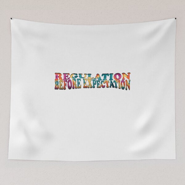 Item preview, Regulation Before Expectation, neurodiversity, emphasizing t-shirt, accessibility, teacher, mom, social work, autism, gift acceptance designed and sold by storefoxmix.