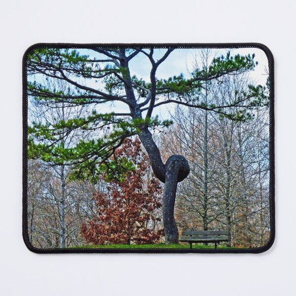 Item preview, Knotted Pine designed and sold by Frankie Cat Photography.