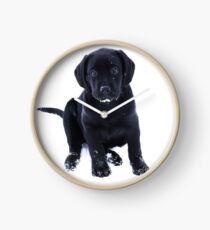 Snow Puppy - Black Labrador Clock