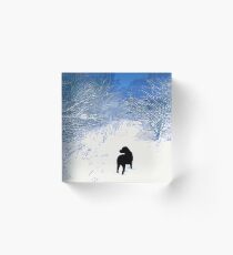 Treasures - Black Labrador Acrylic Block