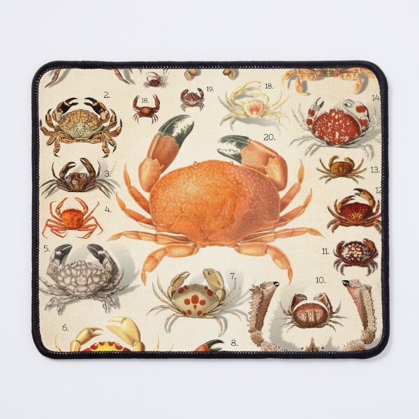 Item preview, Vintage Ocean Crabs: Scientific Chart 1 designed and sold by Nostraw.