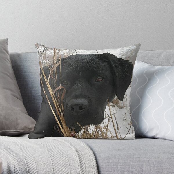 Black lab hot sale throw pillows