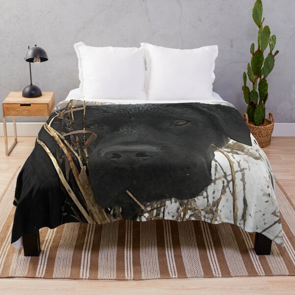 Black lab bed clearance sheets