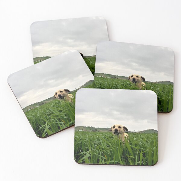 Item preview, dog in the field designed and sold by Ou Hammani.