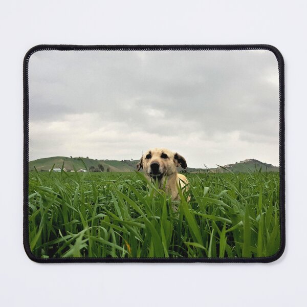 Item preview, dog in the field designed and sold by Ou Hammani.