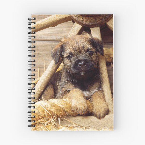 Item preview, Border Terrier Puppy in a Wagon Wheel designed and sold by ScienceSource.