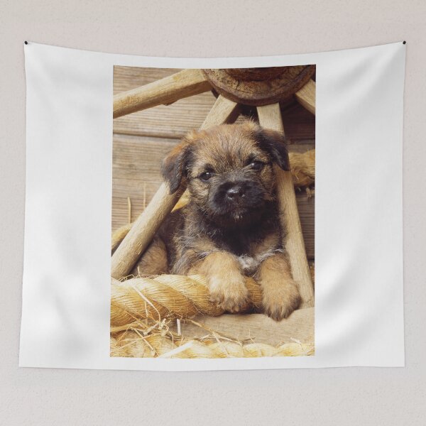 Item preview, Border Terrier Puppy in a Wagon Wheel designed and sold by ScienceSource.