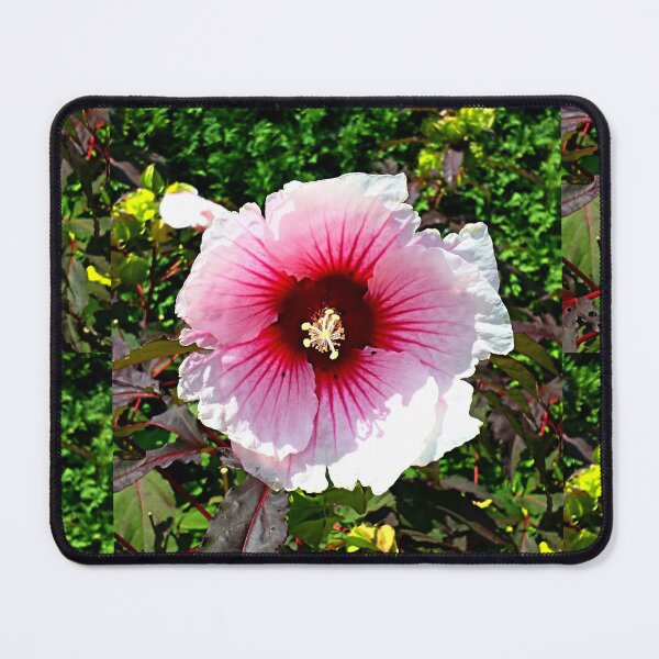 Item preview, Hibiscus Flower in Pink designed and sold by Earth Nature Creations.