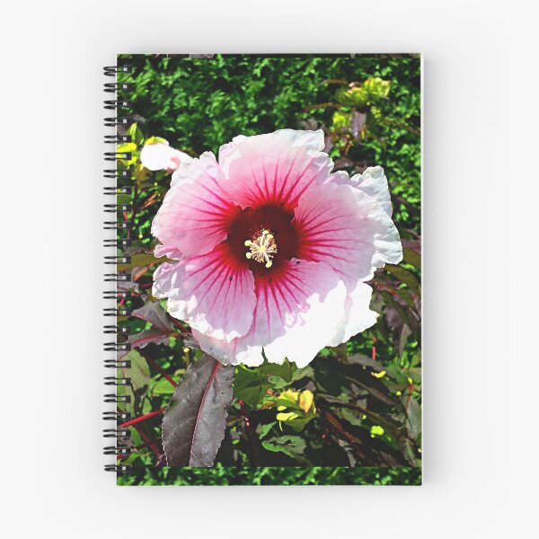 Item preview, Hibiscus Flower in Pink designed and sold by Earth Nature Creations.