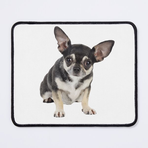 Item preview, Cute Goofy Chihuahua Dog With Big Ears designed and sold by ScienceSource.
