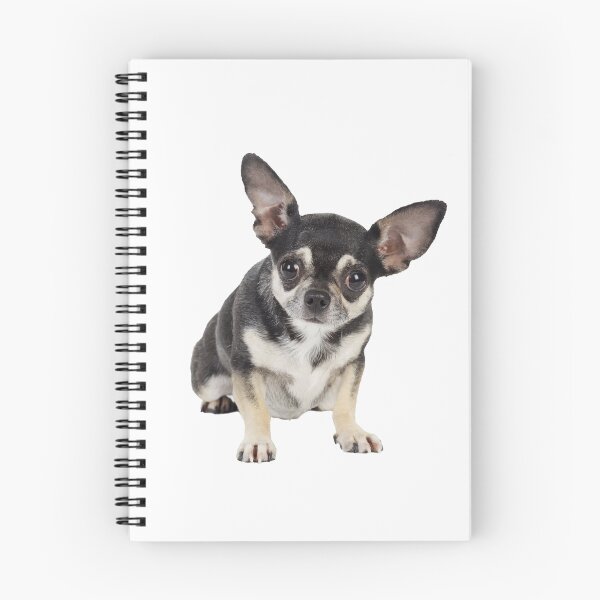 Item preview, Cute Goofy Chihuahua Dog With Big Ears designed and sold by ScienceSource.