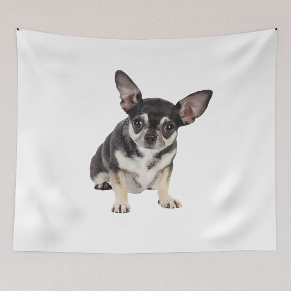 Item preview, Cute Goofy Chihuahua Dog With Big Ears designed and sold by ScienceSource.