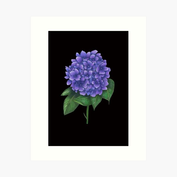 Blue Angel Art Print