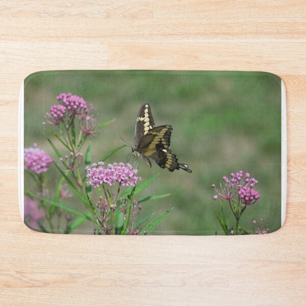 Item preview, Giant Swallowtail Nectaring on Pink Swamp Milkweed designed and sold by Carolep958.