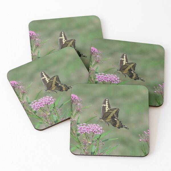 Item preview, Giant Swallowtail Nectaring on Pink Swamp Milkweed designed and sold by Carolep958.