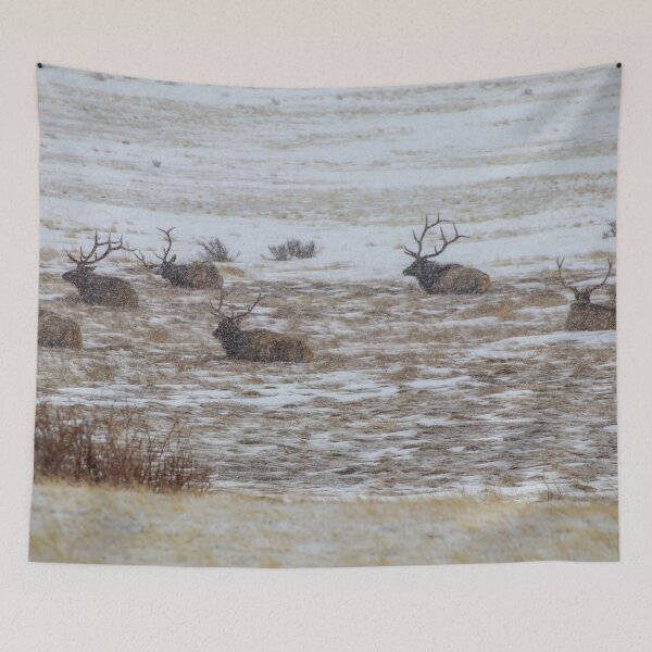 Item preview, Elk with Antlers in a Snow Storm designed and sold by SafariByMarisa.
