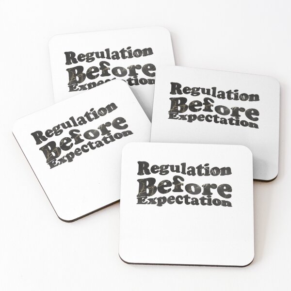 Item preview, Regulation Before Expectation, neurodiversity, emphasizing t-shirt, accessibility, teacher, mom, social work, autism, gift acceptance designed and sold by storefoxmix.