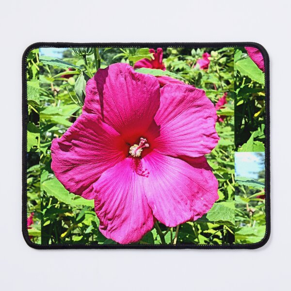 Item preview, Hibiscus Flower in Pink designed and sold by Earth Nature Creations.