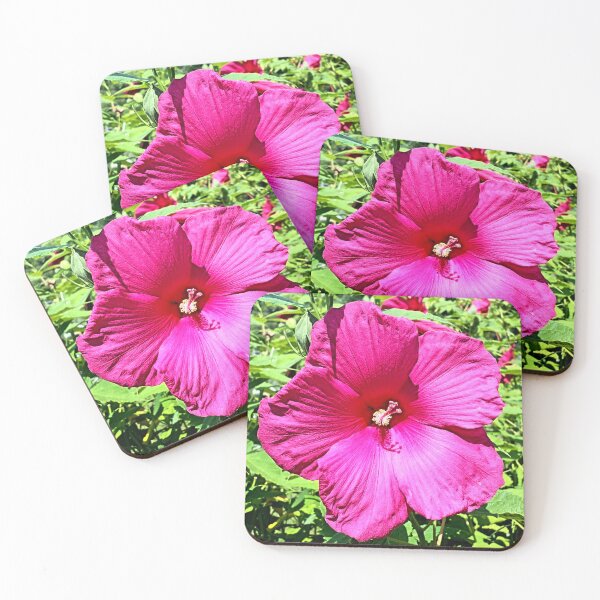 Item preview, Hibiscus Flower in Pink designed and sold by Earth Nature Creations.