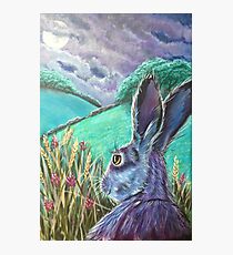 Messenger Photographic Print