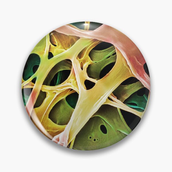 Item preview, Microscope Photo of  Mushroom Mycelium, SEM designed and sold by ScienceSource.