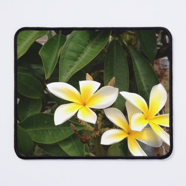 Item preview, Plumeria (Frangipani) designed and sold by Reshington.