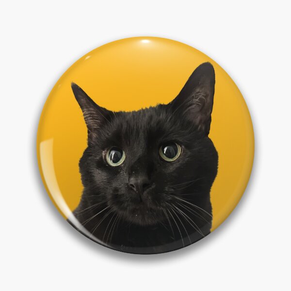 Artikelvorschau, Kuma-Katze entworfen und verkauft von rippeystcats.