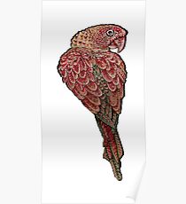Rotes Scharlach Poster