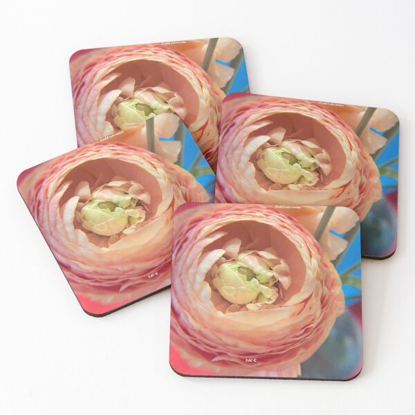 Item preview, Soft Pink & Orange Ranunculus  designed and sold by Elizabeth Cartier-Giordano.