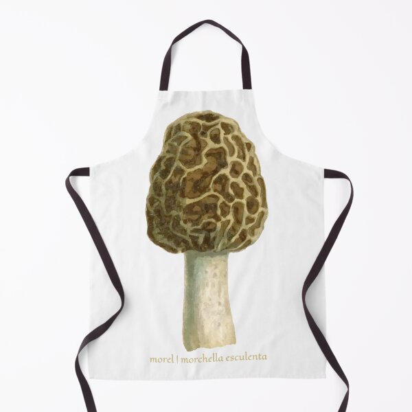 Item preview, Morel mushroom | Color designed and sold by punchyflamingo.