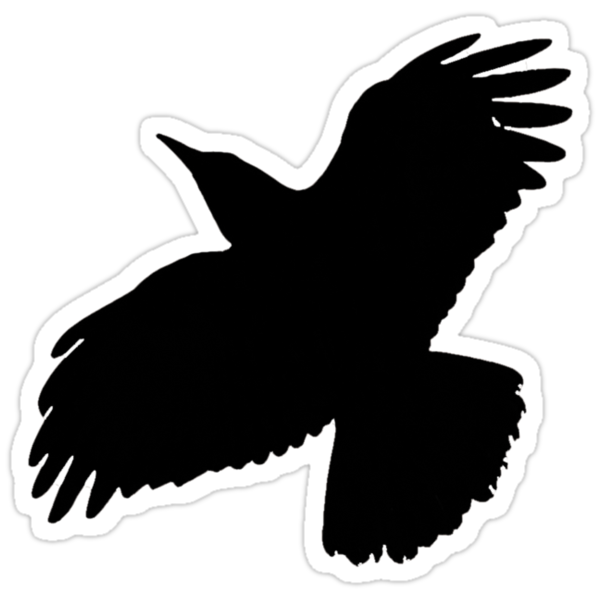 "Black Crow" Stickers by Ross Jardine | Redbubble