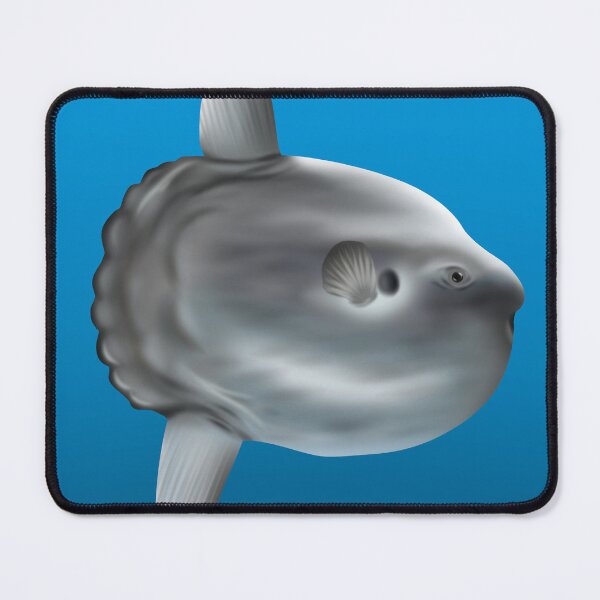 Item preview, Mola Mola designed and sold by Scuba-Div3r.