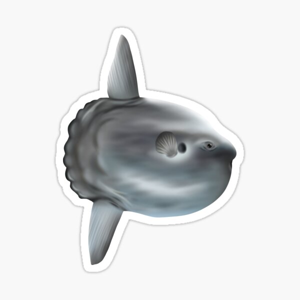 Vista previa del artículo con la obra «Mola Mola», diseñado y vendido por Scuba-Div3r.