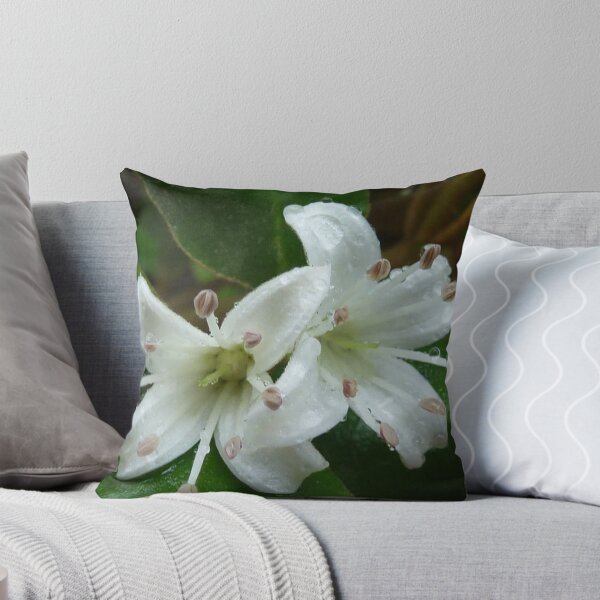 Item preview, Correa alba designed and sold by Pauline Sykes.