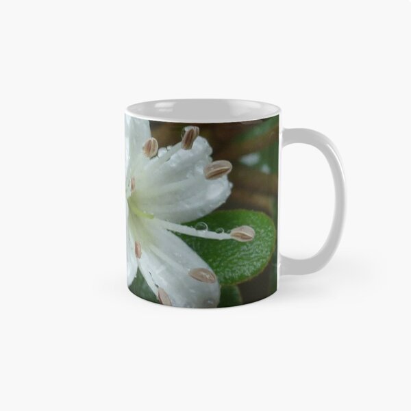 Item preview, White Correa in the Rain designed and sold by Pauline Sykes.