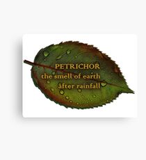 Petrichor Canvas Print