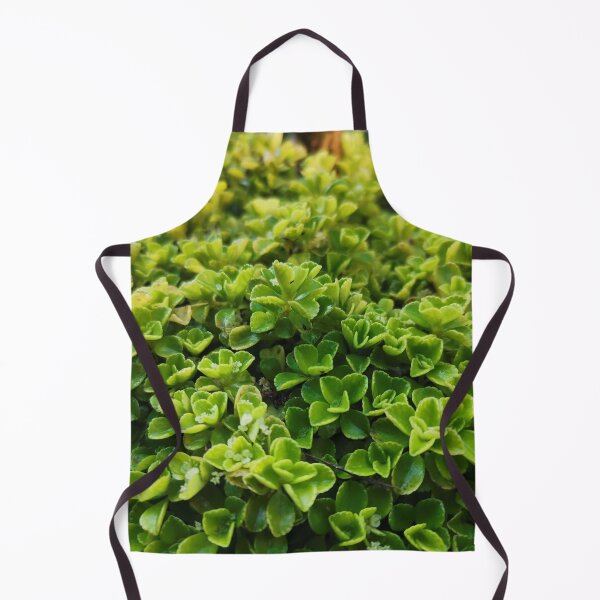 Item preview, Plants designed and sold by HomHai.