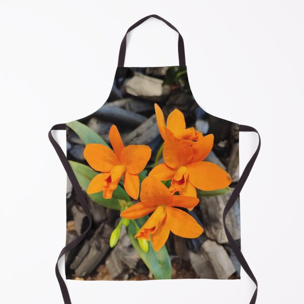 Item preview, Be yourself, shine designed and sold by Raigitam.