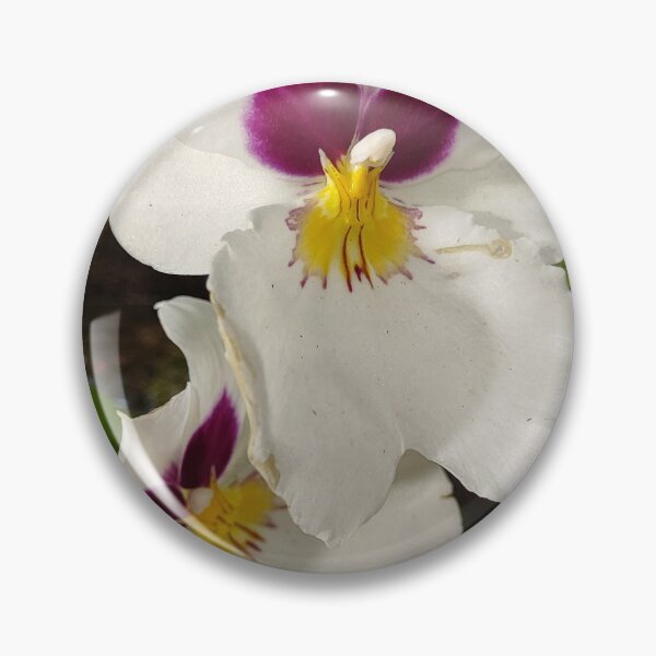 Item preview, Just an orchid and the sun designed and sold by Raigitam.