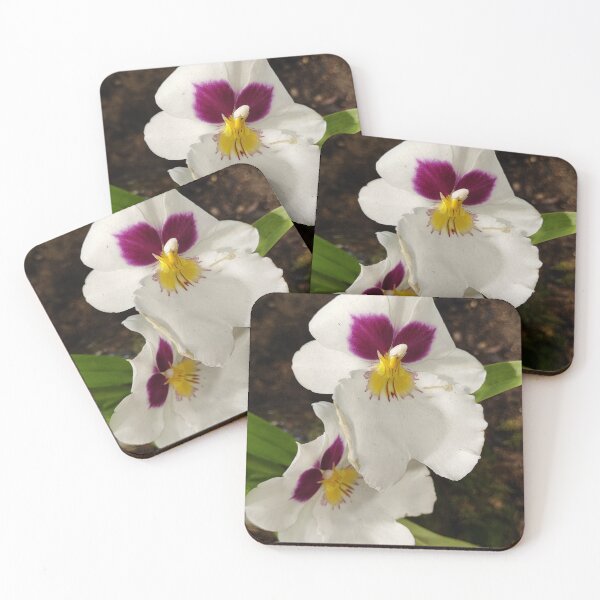 Item preview, Just an orchid and the sun designed and sold by Raigitam.