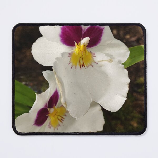 Item preview, Just an orchid and the sun designed and sold by Raigitam.