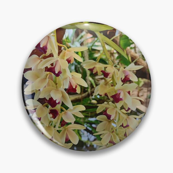 Item preview, Just an amazing orchid designed and sold by Raigitam.