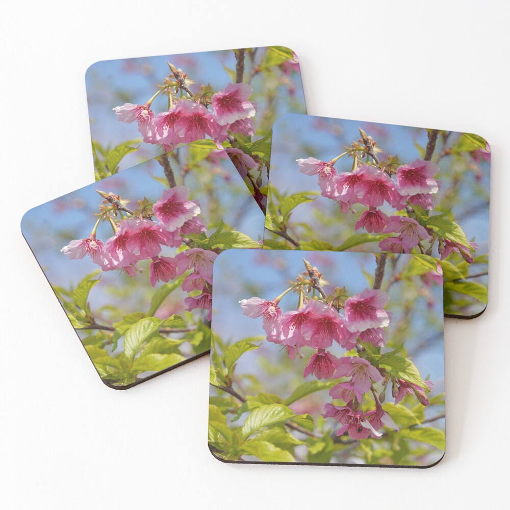 Item preview, Coasters (Set of 4) designed and sold by colourfulmagic.