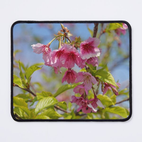 Item preview, Welcome Spring..Before Officially Spring.    designed and sold by Nira Dabush.