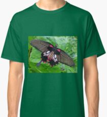 Butterfly at Buckfast Classic T-Shirt
