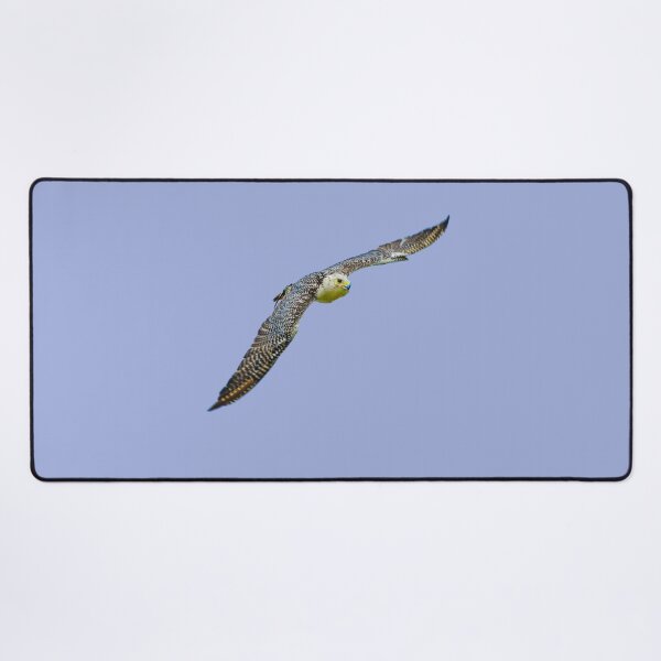 Item preview, Greenland Falcon designed and sold by Dalyndigital Photography.