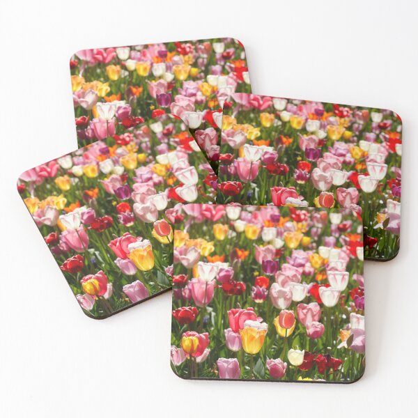 Item preview, Colorful blooming tulips (Tulipa), flowerbed, Germany designed and sold by Torsten  Krüger.