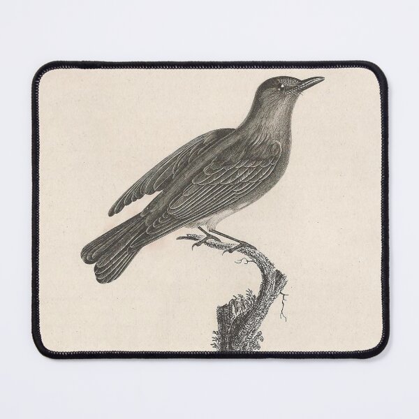 Item preview, Blue and Rufous Warbler Male designed and sold by ptMaker.